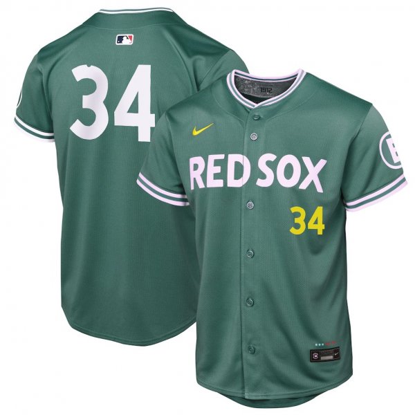 Youth Boston Red Sox #34 David Ortiz Nike Green 2025 City Connect Retired Player Jersey