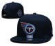 Tennessee Titans Blue Cap
