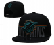 Miami Dolphins Black Cap