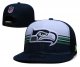 Seattle Seahawks Navy and White Cap