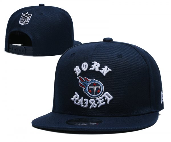 Tennessee Titans Blue Cap