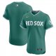 Men's Boston Red Sox Nike 2025 City Connect Elite Green Jersey With Sponsor Patch